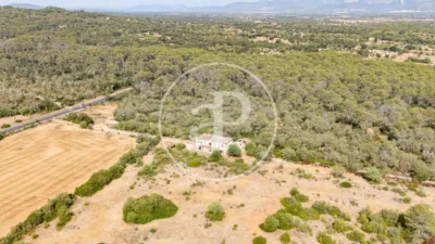 House in Sineu photo 4
