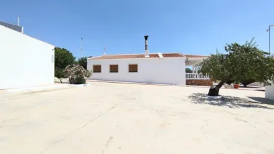 Rustic Finca in Yecla photo 4