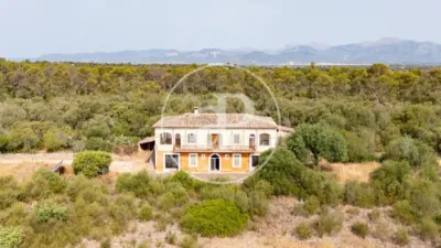 House in Sineu photo 6