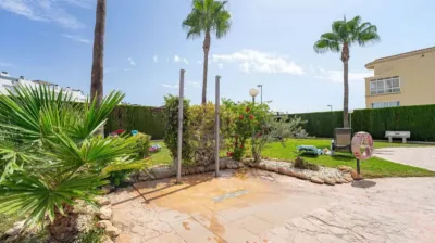 Apartment in Punta Prima-Ciñuelica-Alameda del Mar photo 26