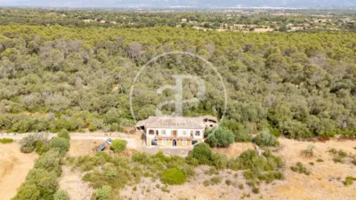 House in Sineu photo 5