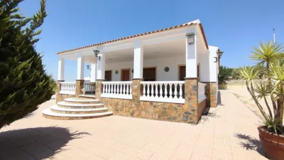 Rustic Finca in Yecla photo 3