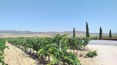 Rustic Finca in Yecla photo 22