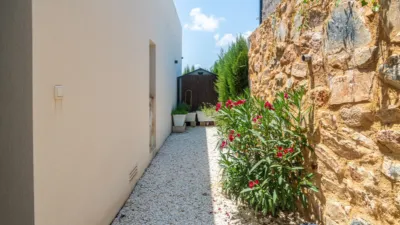 House in Algorfa photo 36