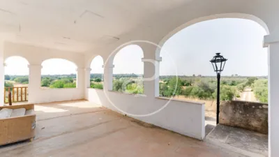 House in Sineu photo 15