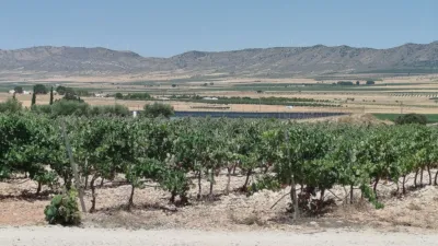 Rustic Finca in Yecla photo 21