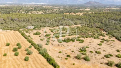 House in Sineu photo 3