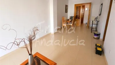 Apartment in Alcaucín photo 7