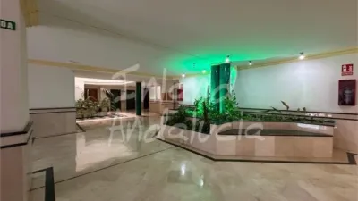Apartment in Alcaucín photo 12