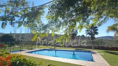 Apartment in Alcaucín photo 5