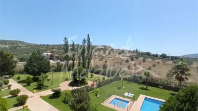 Apartment in Alcaucín photo 14