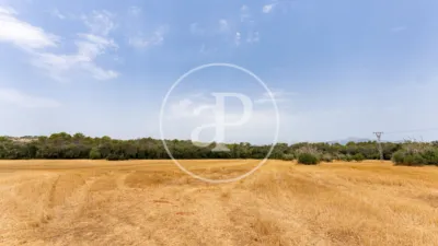 House in Sineu photo 9