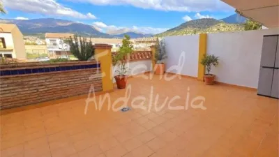 Apartment in Alcaucín photo 3