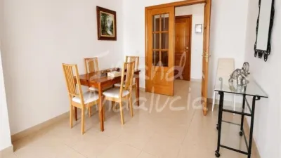 Apartment in Alcaucín photo 8
