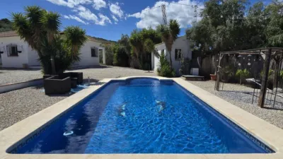 House in Alcaucín photo 20