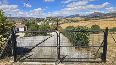 House in Alcaucín photo 45