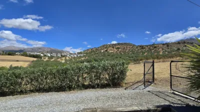 House in Alcaucín photo 46
