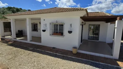House in Alcaucín photo 21