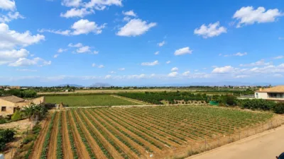 Piso – Formentera del Segura, Los Palacios - Vista 4