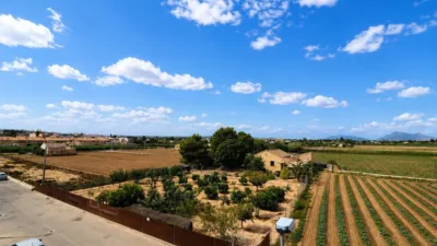 Apartamento en Formentera del Segura photo 16