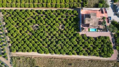 Piso – Orihuela, Casco Histórico - Vista 3