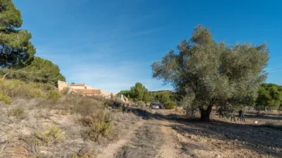 Casa - Vista 5
