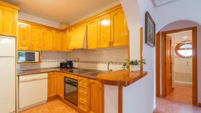 Pis – Orihuela - Vista 5