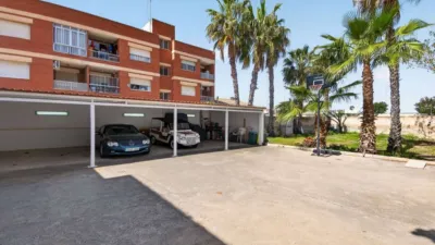 Detached House in Los Paganes photo 24