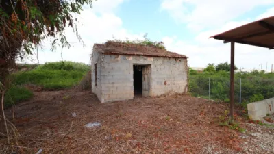 Rustic Finca in Rojales photo 30