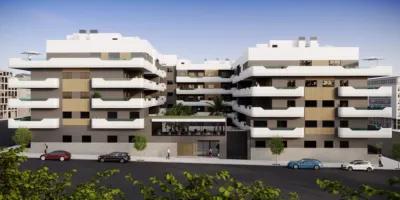 Pis – Santa Pola, el Baix Vinalopó - Més