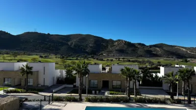 Apartment in Monforte del Cid photo 17