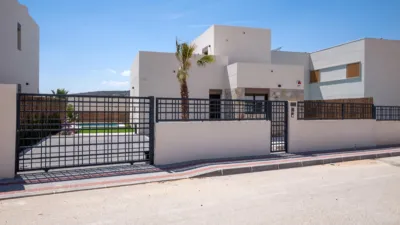 Villa in Algorfa photo 20