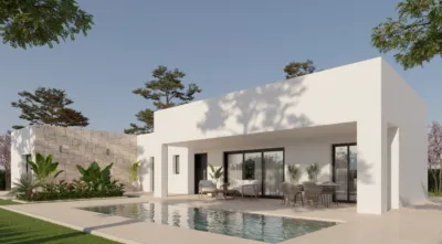Villa in Aspe photo 7