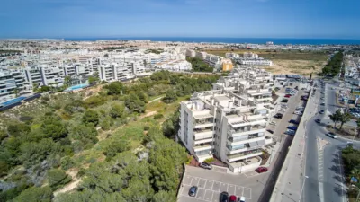 Pis – Orihuela - Vista 4