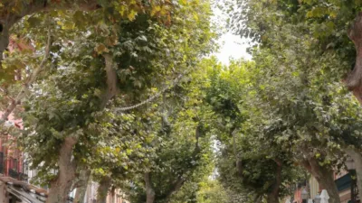 House in El Verger photo 8