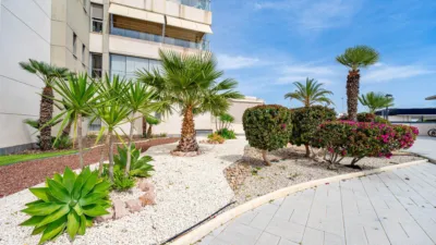 Pis – Orihuela - Vista 3