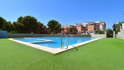 Pis – Orihuela - Vista 2
