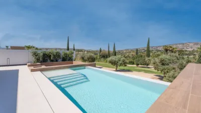 Villa in Algorfa photo 19