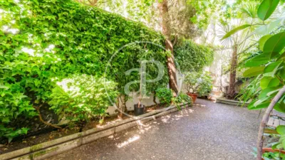 Apartment in El Viso photo 61