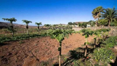 Rustic Finca in La Pared photo 15