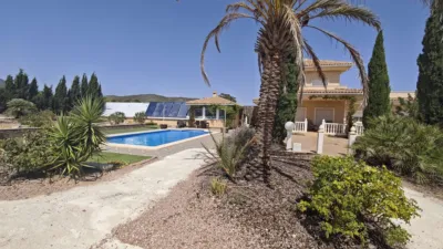 Chalet in El Pinós - Pinoso photo 43