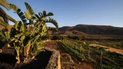 Rustic Finca in La Pared photo 28