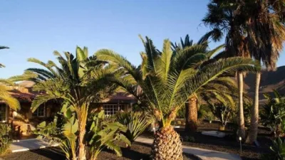 Rustic Finca in La Pared photo 29