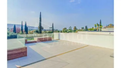 Detached villa in Algorfa photo 19