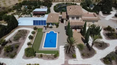 Chalet in El Pinós - Pinoso photo 5