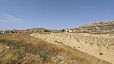 Rustic Finca in Torre del Rico photo 38