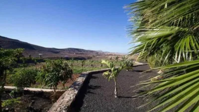 Rustic Finca in La Pared photo 41