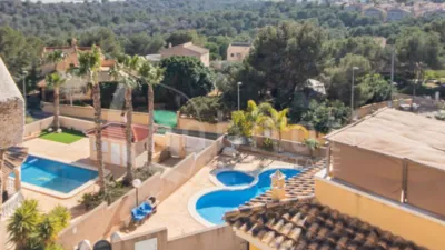 Apartment in Algorfa photo 16
