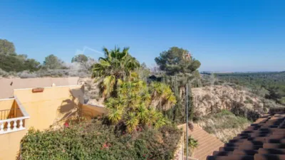 Apartment in Algorfa photo 13