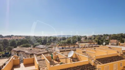 Apartment in Algorfa photo 14